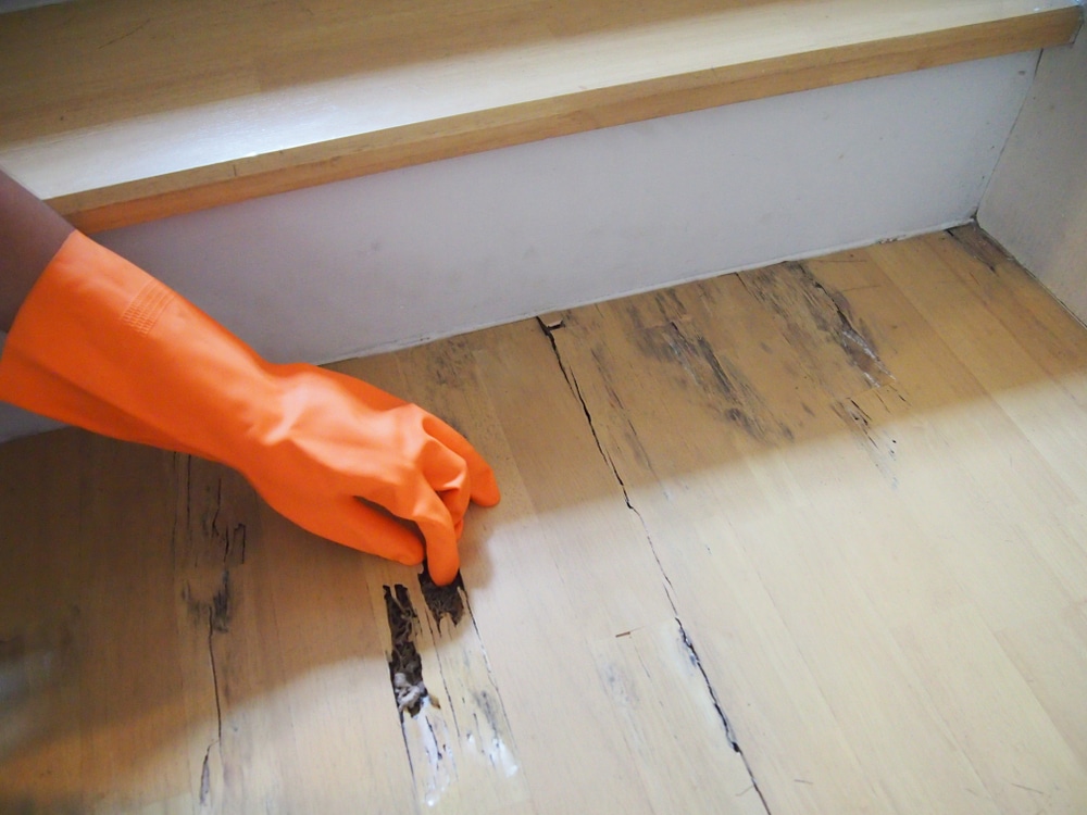 Problems With Loose Lay Sheet Vinyl Flooring