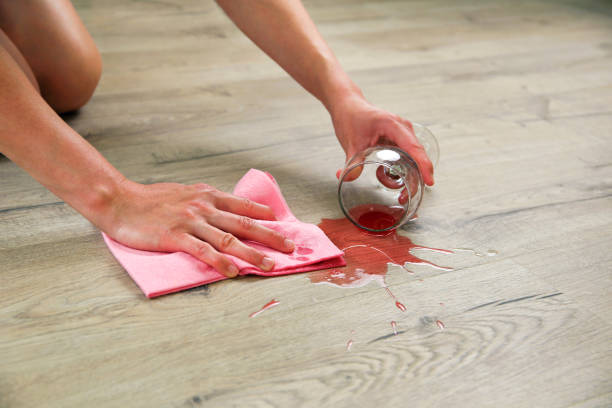 Best Cleaner For Vinyl Floors