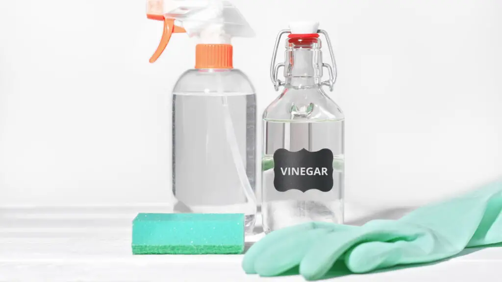 Best Cleaner For Vinyl Floors